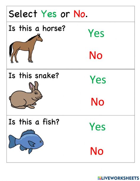 Yes Or No Picture, Yes Or No Worksheet For Kindergarten, Pets Worksheet, English Animals Worksheet, Evs Worksheets For Grade 2 Animals, Kindergarten Language Activities, My Pets Worksheets For Kids, Uses Of Animals Worksheet, Speech Therapy Worksheets