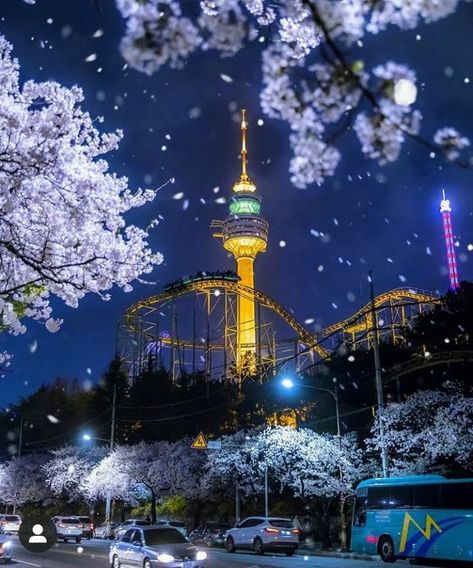 Cheery Blossoms Aesthetic, South Korea Landscape, Seoul Travel Guide, Korea Landscape, Seoul Night, City Life Aesthetic, South Korea Photography, Seoul Korea Travel, Korea University