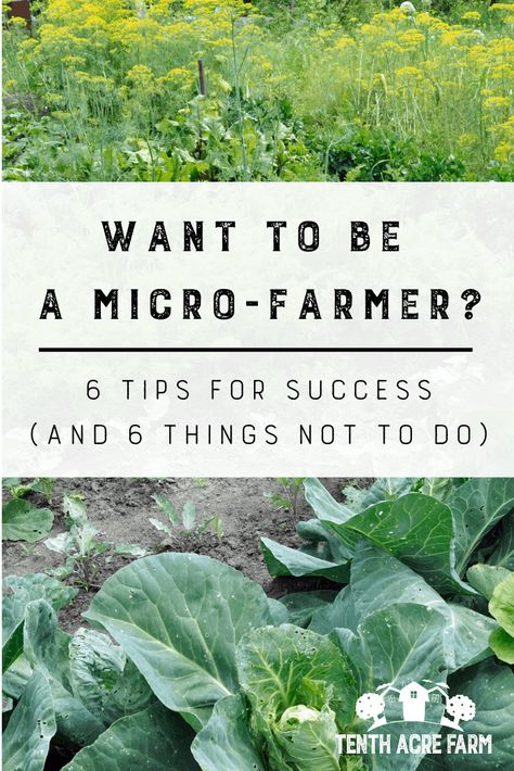 How To Start Farming, Regenerative Farming Backyard, Market Garden Layout, Micro Homesteading, Market Farming, Micro Gardening, Regenerative Gardening, Micro Farm, Rose Garden Design