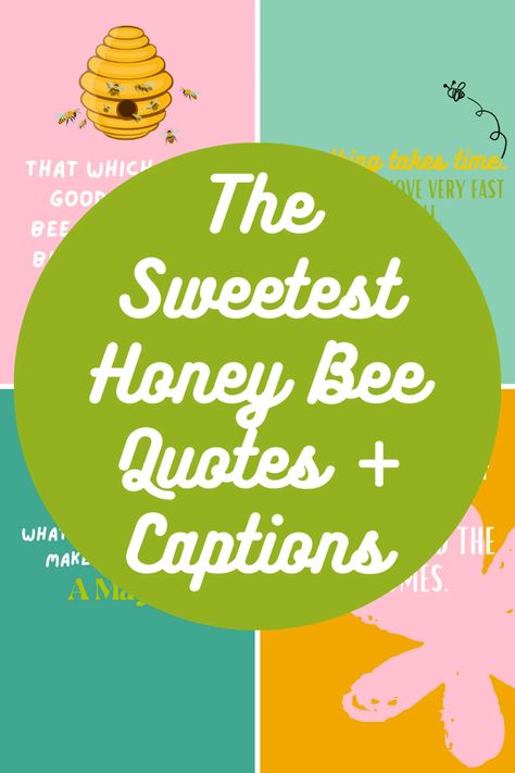 The Sweetest Honey Bee Quotes + Captions - Darling Quote Quotes About Honey Bees, Sweet As Honey Quotes, Sweet Like Honey Quote, Honey Quotes Bee, Honey Captions, Bee Captions, Sweet Insta Captions, Bee Quotes Wisdom, Bee Quotes Funny