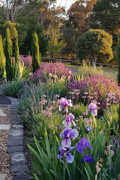 Beautiful Flower Gardens, Front Yard Flowers, Yard Flowers, Garden Uk, Purple Plants, Garden Vegetables, Fall Garden Vegetables, Cottage Garden Design, Lavender Garden