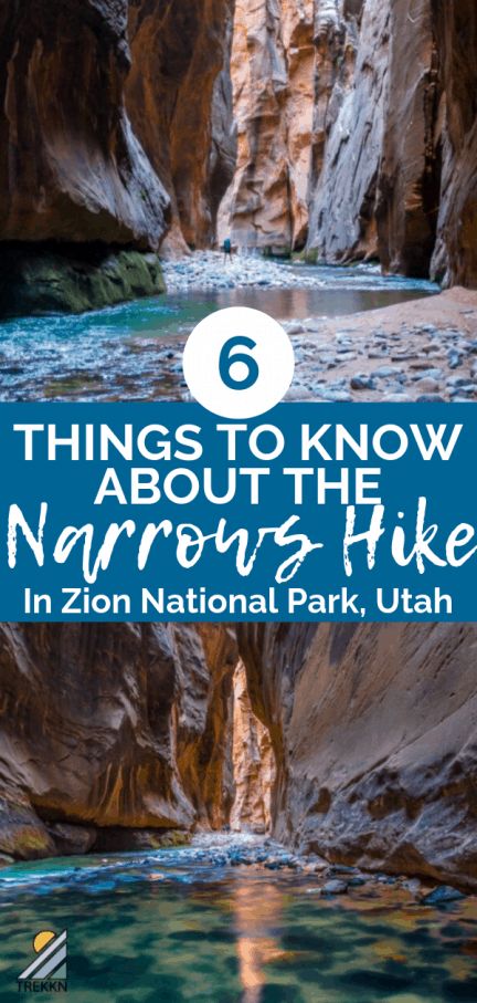 Narrows Zion National Park, The Narrows Zion, Hiking Usa, Hiking The Narrows, Slot Canyons, The Narrows, Utah Adventures, Utah Road Trip, Zion National Park Utah