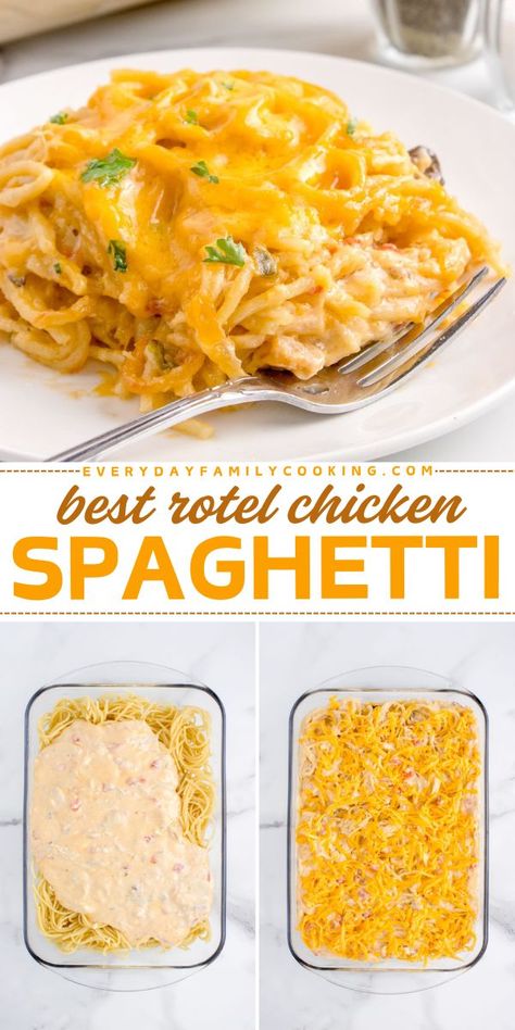 Discover the Best Rotel Chicken Spaghetti Recipe! This pasta dinner recipe is made with pantry ingredients like rotisserie chicken, cream of chicken soup, mushroom soup, Velveeta cheese, cheddar cheese, and Rotel tomatoes. Make the best comfort food recipe today and enjoy! Cheddar Chicken Spaghetti, Chicken Spaghetti Rotisserie, Spaghetti Noodles And Chicken Recipes, Small Batch Chicken Spaghetti, Rotel Chicken Recipes, Simple Chicken Spaghetti Recipe, Best Chicken Tetrazzini Recipes, Stovetop Chicken Spaghetti, Chicken Spaghetti With Cream Cheese