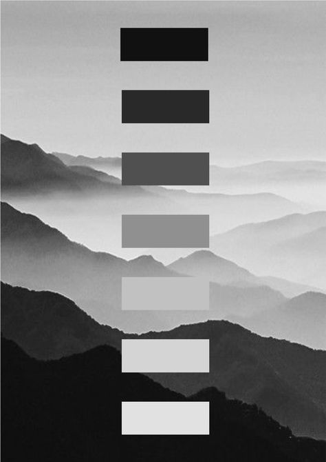 Gray Scale Color Pallete, Black White Pallet Color, Black And White Colour Board, Black And White Colour Scheme, Black And Grey Color Palette, Black And White Colour Palette, Colour Palette Black, Black White Palette, Black And White Color Palette