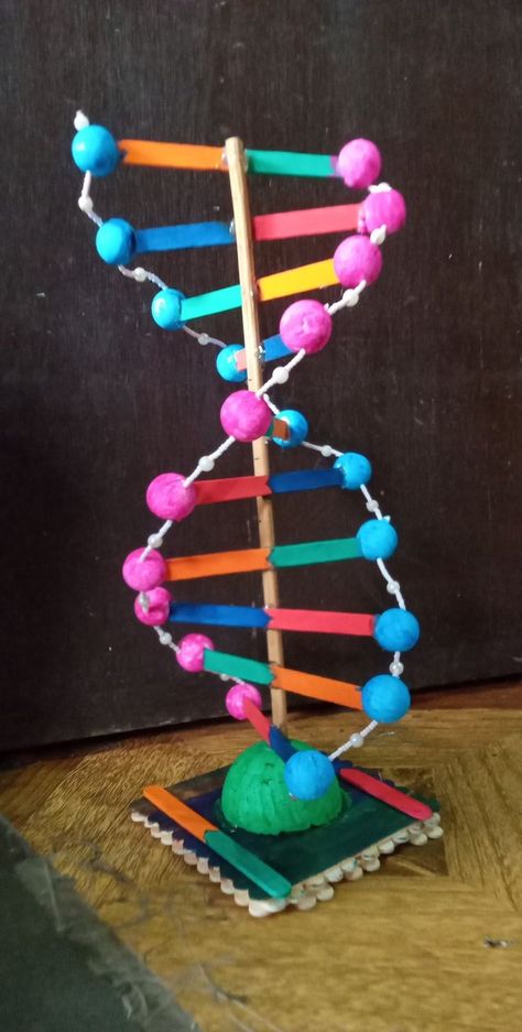 Model Science Project, Dna Helix, Dna Model, Diy Clothes Hacks, Science Project, Clothing Hacks, Science Projects, School Projects, Diy Clothes