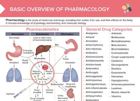 Pharmacokinetics: Definition & Steps
Pharmacokinetics, the study of how drugs move within the body, is a key aspect of medical care. It guides healthcare professionals in determining the right dosage, route, and timing of medications. Understanding pharmacokinetics can significantly enhance the safety and effectiveness of treatments. It helps to not only administer medication properly but also to maximize its benefits and minimize side effects.
Last updated: December 4, 2023
DOWNLOAD FREE CHEAT Nursing Terminology, Nursing Prerequisites, Nursing Pharmacology, Med Surg Nursing, Nursing Exam, Nursing Courses, Mental Health Nursing, Pharmacology Nursing, Nursing School Survival