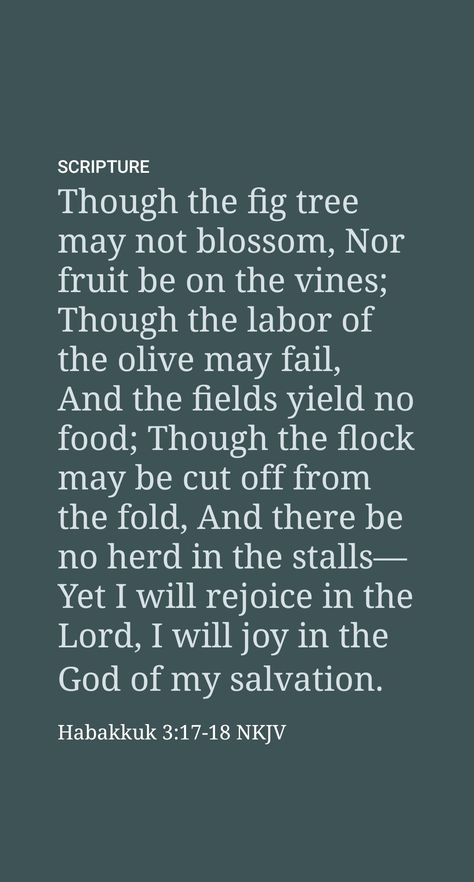 Habakkuk had an exemplary attitude, for he said: “Although the fig tree itself may not blossom, and there may be no yield on the vines; the work of the olive tree may actually turn out a failure, and the terraces themselves may actually produce no food; the flock may actually be severed from the pen, and there may be no herd in the enclosures; yet, as for me, I will exult in Jehovah himself; I will be joyful in the God of my salvation.” (Habakkuk 3:17, 18) Habakkuk 2:3 Wallpaper, Habakkuk 3:19, Habakuk 3:17-19, Habbakuk 3:19, Habbakuk 2:14, Habakkuk 3:17-19, Habbakuk Bible Study, Habbakuk 3:17-19, Christmas Flower Decorations