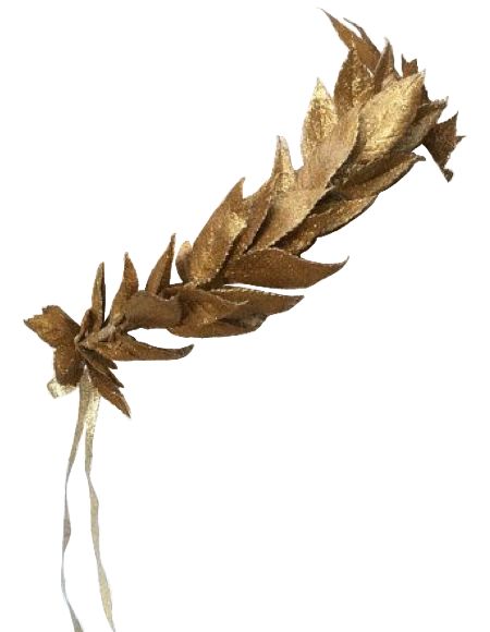 Golden Leaf Crown, Crown Png, Leaf Crown, Golden Leaf, Golden Leaves, Rooster, Crown, The Originals