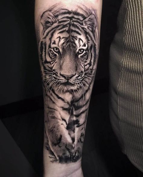 12+ Best Siberian Tiger Tattoo Designs | PetPress Tiger Tattoo Back, Arm Tattoos Tiger, Tiger Forearm Tattoo, Tiger Tattoo Meaning, Tattoos Arm Mann, Mens Tiger Tattoo, White Tiger Tattoo, Shine Tattoo, Tiger Face Tattoo