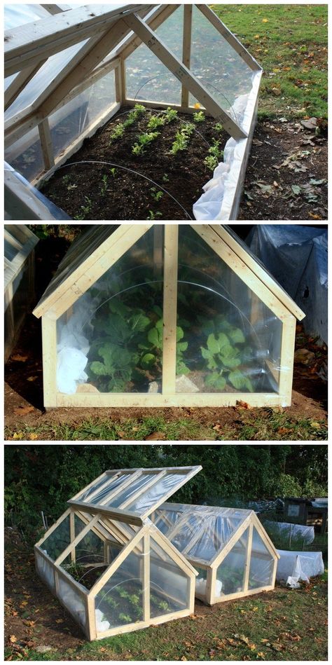 Serre Diy, Diy Mini Greenhouse, Greenhouse Farming, Diy Greenhouse Plans, Best Greenhouse, Home Greenhouse, Wooden Greenhouses, Plants Growing, Backyard Greenhouse