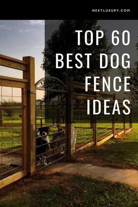 Fences To Keep Dogs In, Yard Fence For Dogs, Pretty Dog Fence, Dog Gate Outdoor Backyards, Fenced In Dog Area Yards, Affordable Fence Ideas Dogs, Large Dog Runs Ideas Backyard, Enclosed Dog Run Ideas Backyard, Dog Run Side Yard Fence Ideas