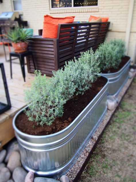 Container Gardening Landscape Front Yards, Stock Tank Gardening, Honey House, Horse Trough, Garden Troughs, Galvanized Planters, Landscape Inspiration, Trough Planters, Gardening Flowers