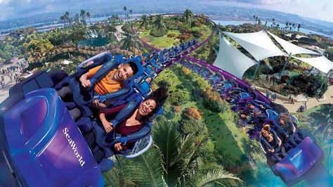 SeaWorld San Diego's new dueling figure-8 coaster, Tidal Twister, now has an opening date! 🌊🎢 Seaworld San Diego, Summer Watch, Instant Win Games, Win Tickets, Sea World, The Cw, Cool Cards, Roller Coaster, San Diego