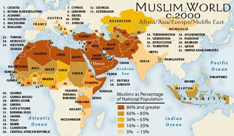 The spread of Islam Interesting Maps, Islamic Countries, History Of Islam, I'm Sick, Muslim Countries, Info Graphic, And So It Begins, Country Maps, Islamic World