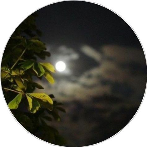 After Rain, Beautiful Moon, Nature Aesthetic, Moon, Instagram, Nature