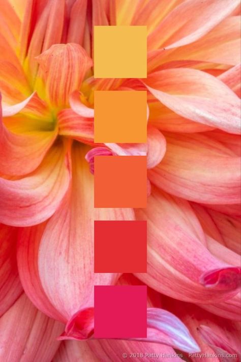 Peach And Orange Color Palettes, Beautiful Color Combinations Inspiration, Orange Pink White Color Palette, Spring Summer Palette, Pink Peach Orange Color Palette, Guava Color Palette, Colors That Go With Coral, Color Palette 10 Colors, Bright Bold Color Palette