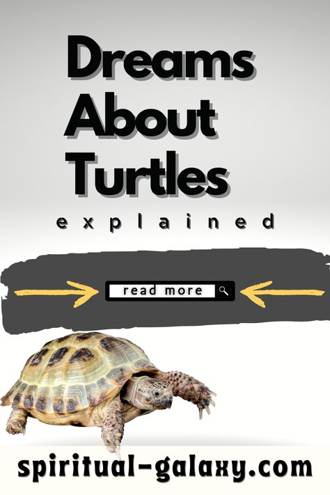 Turtle Dreams Hidden Meaning & Interpretation Dreams Spirituality, Dream Scenarios, Turtle Meaning, Flying With A Baby, Snapping Turtle, Stomach Problems, Dream Symbols, Dream Meanings, Dream Interpretation