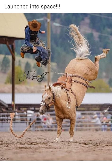 Pbr Bull Riders, Saddle Bronc Riding, Pbr Bull Riding, Saddle Bronc, Bucking Bulls, Bronc Riding, Riding Quotes, Reining Horses, Barrel Racing Horses