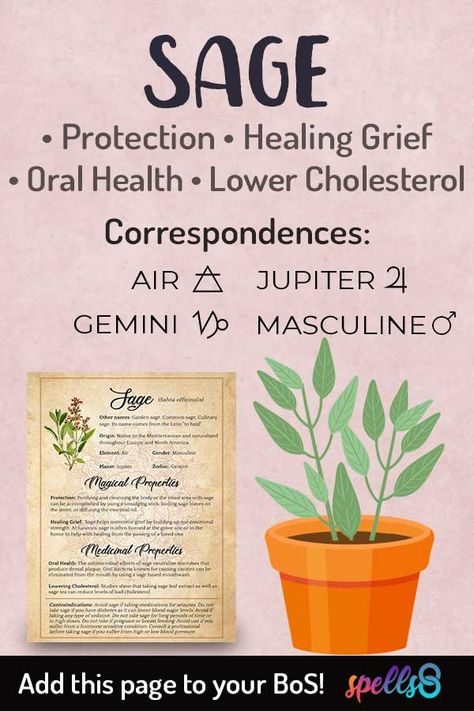 Spiritual Properties of Sage and its uses in Witchcraft. Learn the Elemental Correspondences of Herbs such as Sage and its Astrological and Magical correspondences. The spiritual meaning of this plant is healing and protection. Watch this video lesson!  Magical properties of Sage, its uses in healing, Kitchen Magic and all the magickal benefits of Sage in spells, astrology, and witchcraft. Full Moon Prayer, Herb Meanings, Moon Prayer, Sage Benefits, Witchcraft Herbs, Next Full Moon, Magickal Herbs, Witch Herbs, Moon Ritual