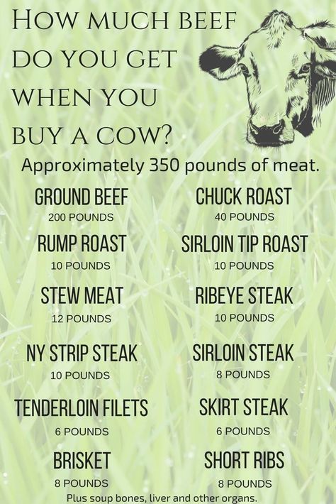 Sirloin Tip Roast, Ny Strip Steak, Sirloin Tips, Ny Strip, Beef Chuck Roast, Beef Cattle, Stew Meat, Beef Cuts, Food Info