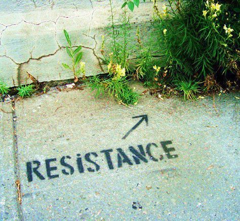 Resistance Agile Marketing, Street Art Utopia, Acropolis, Cool Ideas, Street Art Graffiti, Land Art, Green Aesthetic, Public Art, Banksy