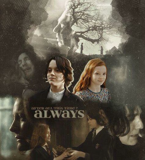 Fanart Harry Potter, Snape And Lily, Citate Harry Potter, Glume Harry Potter, Always Harry Potter, Harry Potter Background, Harry Potter Severus, Harry Potter Severus Snape, Severus Rogue