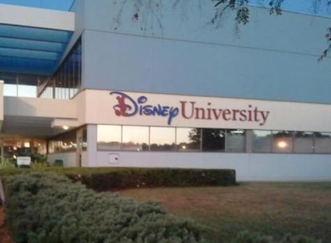 good old DU Disney Internship, Disney University, Military Engineering, Disney College, Disney College Program, Fall Semester, Engineering Projects, Cast Member, Disney Aesthetic