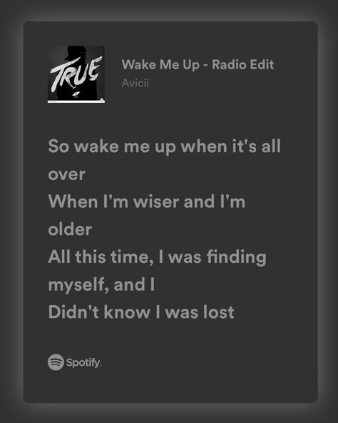 Wake Me Up Avicii, Avicii Lyrics, Spotify Lyrics, Avicii, Wake Me, Wake Me Up, All About Time, Surfing, Love You