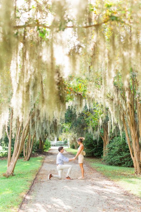 Best Places to Propose in Charleston Proposal Set Up Ideas Simple, Florida Proposal Ideas, Proposal Locations Ideas, Proposal Outfits For Her Spring, Southern Proposal, Engagement Places Ideas, Proposal After Party, Spring Proposal Ideas, Outside Proposal Ideas