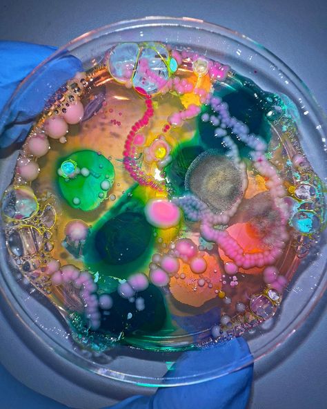 Midnight Gems 🌙😌🩷🌚🌌 | Instagram Mold Core Aesthetic, Mold Aesthetics, Amoeba Aesthetic, Petri Dish Drawing, Science Fair Aesthetic, Microbes Art, Stem Cells Art, Microorganisms Art, Bacteria Petri Dish