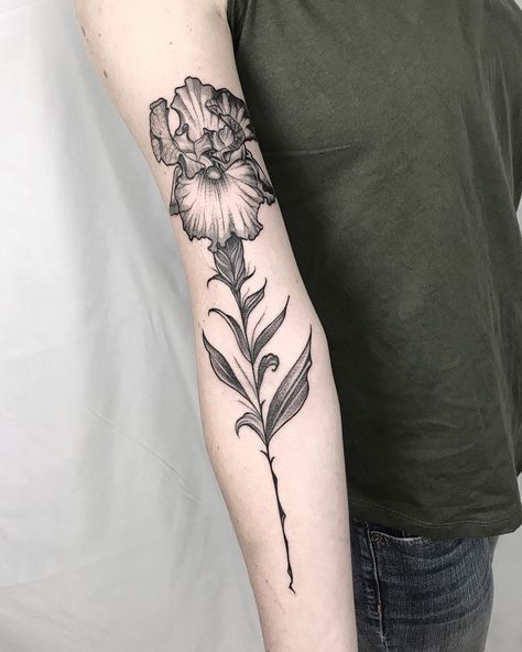 Iris Forearm Tattoo, Black And White Iris Tattoo, Iris Flower Tattoo, Tattoos 2024, Iris Tattoo, White Iris, Reference Art, Black Iris, Iris Flowers