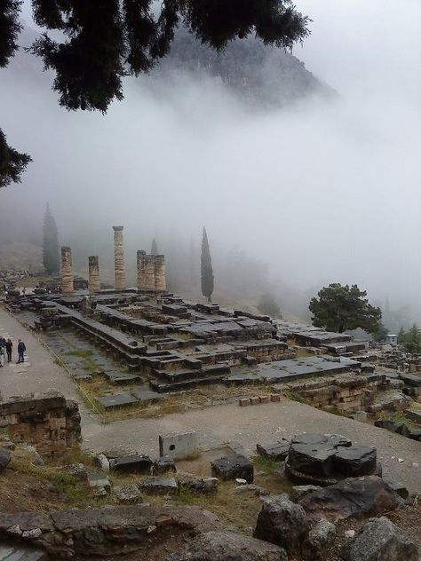 Delphi - the impressive archaelogical site, lost among the trees. Visit the the Oracle of Delphi for a unique, ancient experience! #Greece #Delphi #Terrabook #Greece #Delphi #Terrabook #Travel #GreeceTravel #GreecePhotografy #GreekPhotos #Traveling #Travelling #Holiday Delphi Greece Aesthetic, Oracle Of Delphi Aesthetic, Delphi Aesthetic, Ancient Greek Garden, Greece Delphi, The Oracle Of Delphi, Ancient Greece Aesthetic, Hellenic Polytheism, Delphi Greece