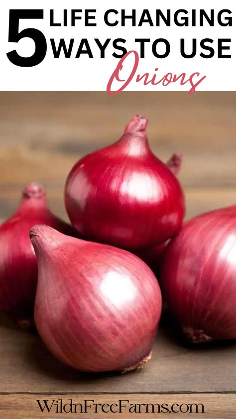 health benefits of onions Onion Cold Remedy, Onion Syrup, Red Onion Benefits, Medicinal Tea Recipes, Health Benefits Of Onions, Benefits Of Onions, Onion Water, Onion Benefits, Onion Benefits Health