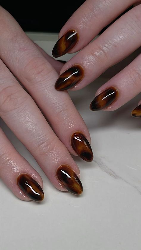 Tortoise nails  Check more at https://darkgreen-dog-245664.hostingersite.com/tortoise-nails/ Dark Tortoise Nails, Tortoise Shell Nails Almond, Tort Shell Nails, Tort Nails, Tortus Shell Nails, Tortious Shell Nails, Toirtoshell Nails, Pre Fall Nails, Tortoise Nails Design