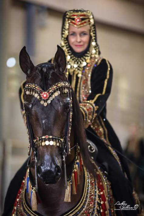 Arabian Horse Arabian Costumes, Arabian Horse Costume, Native Costume, Horse Halloween Costumes, Arabian Costume, Horse Costume, Akhal Teke Horses, Horse Arena, Horse Costumes