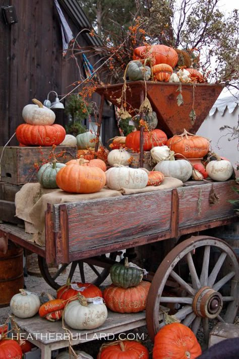 Wagon Dressed in Fall Fall Urn, Pumpkins And Gourds, Thanksgiving Writing, Autumn Decorating, Harvest Time, Fabulous Fall, Happy Fall Y'all, Autumn Beauty, Fall Decorations