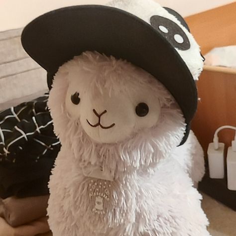 #cute#cap#alpaca#icons Llama Aesthetic, Alpacas Cute, Snowboard Art, Cute Cap, Cute Alpaca, Just Give Up, Baby Brother, Cute Stuffed Animals, Cute Little Animals