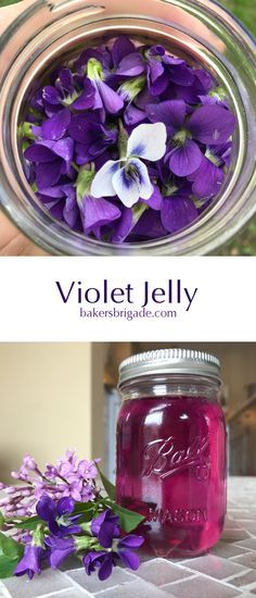 Violet Jelly- Amazing recipe for jam made from foraged flowers! #recipe #spring #forage #jelly #jam #livingofftheland Violet Jelly, Edible Flowers Recipes, Canning Jam, Just Magic, Foraged Food, Jam And Jelly, Jelly Recipes, Home Canning, Vegetable Drinks