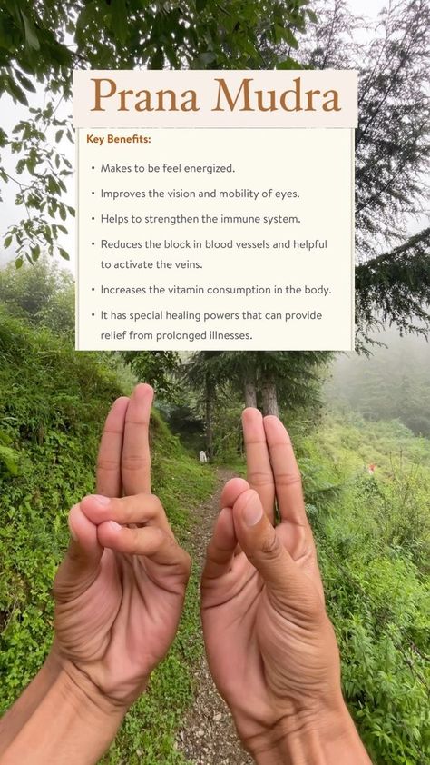 Key Benefits of Doing Prana Mudra 🙏🏼: • Makes to be feel energized. • Improves the vision and mobility of eyes. • Helps to strengthen the immune system. • Reduces the block in blood vessels and helpful to activate the veins. • Increases the vitamin consumption in the body. • It has special healing powers that can provide relief from prolonged illnesses. . #EnergizeAndThrive #ImprovedVisionAndMobility #BoostImmunity #HealthyBloodFlow #VitaminBoost #HealingPowers #ReliefFromIllnesses #meditative Prana Mudra, Feel Energized, Body Is A Temple, The Immune System, The Vision, Spiritual Practices, Blood Vessels, Immune Boosting, Healing Powers