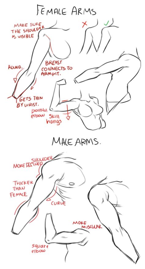 How To Draw Arms, Draw Arms, Human Anatomy Drawing, Body Drawing Tutorial, Human Anatomy Art, Anatomy For Artists, Body Reference Drawing, Art Tools Drawing, Sketches Tutorial