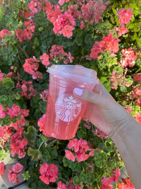 Starbucks Pink Aesthetic, Starbucks Strawberry Acai Refresher Aesthetic, Starbucks Refresher Aesthetic, Strawberry Acai Refresher Aesthetic, Starbucks Refreshers Aesthetic, Strawberry Refresher Aesthetic, Aesthetic Starbucks Pictures, Pink Starbucks Aesthetic, Starbucks Moodboard