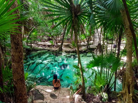 Ultimate List Of The Best Cenotes in Mexico Yucatan Peninsula Mexico, Mexican Cenotes, Mexican Cruise, Cenotes Yucatan, Tulum Cenotes, Cenotes Tulum, People Swimming, Mexico Honeymoon, Mexico Tulum