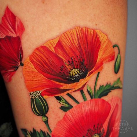 ESTER TARABAL ✦ Tattoo Artist on Instagram: “Poppies in different reds ❤️ I did this one a month ago, already have a healed picture… I will share soon! 🤩✨ . . . All shares, comments…” Large Poppy Tattoo, Orange Poppy Tattoo, Floral Arm Tattoo, Poppy Tattoo, Poppies Tattoo, Orange Poppy, Tattoo Inspo, Artist On Instagram, Color Tattoo