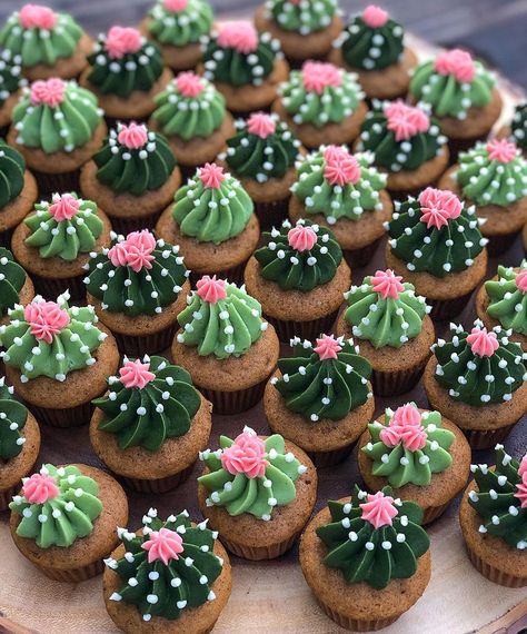 Cupcake Decoration Birthday, Cool Cupcake Decorating Ideas, Western Party Cupcakes, Diy Cactus Cupcakes, Desert Theme Cupcakes, Taco Themed Cupcakes, Cute Mini Cupcakes, Cactus Food Ideas, Mexican Fiesta Cupcakes