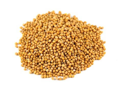 Uses Of Mustard Seed | Savory Spice Antifungal Cream, Yellow Mustard Seeds, Hair Mask For Growth, Mustard Seeds, Spices And Seasonings, Yellow Mustard, Natural Home Remedies, Mustard Seed, Living Food