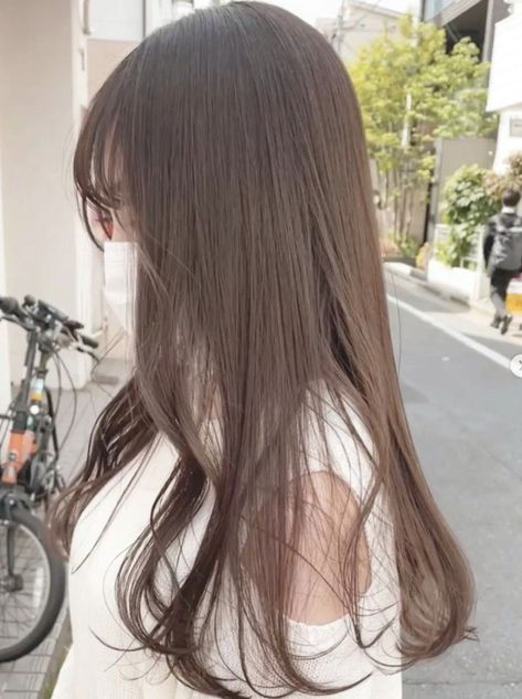 Soft Brown Hair Asian, Milky Tea Hair Color, Milk Tea Brown Korean Hair, Milk Tea Brown Hair Color Korean, Light Brown Korean Hair Color, Milk Brown Hair Korean, All Natural Makeup, Loose Curls, Haircut And Color