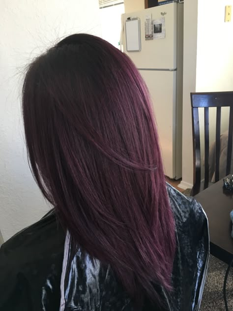 Cherry Black Red Hair, Violet Soft Black Hair, Red Purple Black Hair, Dark Brown Hair With Purple Tint, Black Violet Hair, Purple Wine Hair, Brownish Purple Hair, Red Plum Hair, Spring Hair Color Ideas 2023