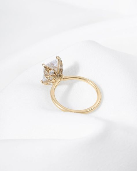 Diamonds Direct | Hidden details have always been a popular element in engagement ring settings. We’re obsessed with this hidden floral-inspired gallery on… | Instagram Gem Stone Engagement Ring, Diamonds Direct, Ring Settings, Stone Engagement Ring, Stone Engagement Rings, Stone Engagement, Fantasy Jewelry, Hidden Gem, Gemstone Engagement Rings