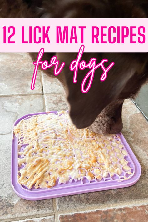 12 Lick Mat Recipes For Dogs Lick Mat Recipes, Pumpkin Recipes For Dogs, Ice Cream For Dogs, Baby Treats, Recipes For Dogs, Pet Treats Recipes, Easy Dog Treat Recipes, Ice Cream Cups, Dog Ice Cream