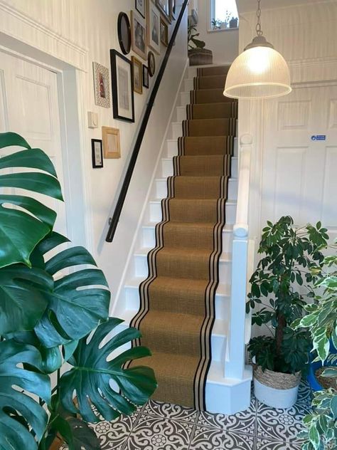 Wall Staircase, Mid Century Boho, Boho Home Decor, Plant Wall, House Renovation, Boho Home, Hallway, Stairs, Mid Century